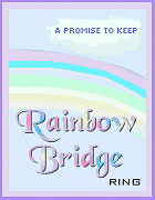 Rainbow Bridge Ring